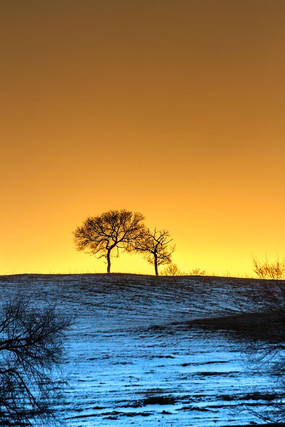  ���� ѩ�� ѩ�� ѩ�� ��֦ �ճ� С�� ��Ӱ ϼ��