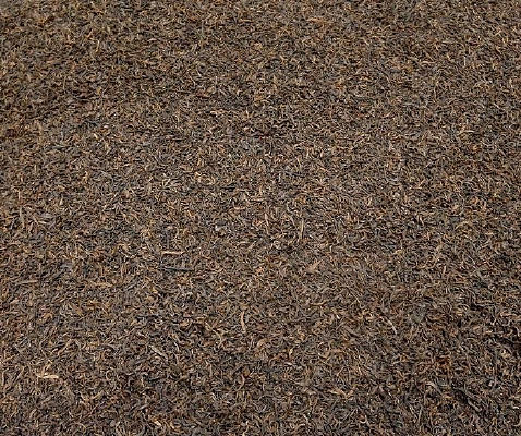 ��͢�ն���