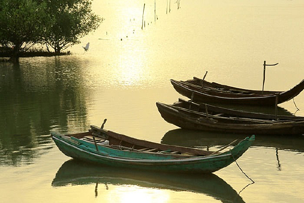 ������Ӱ