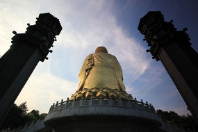 ������Ӱ