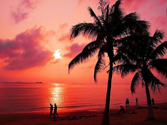 ����������