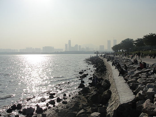 ���ں����ֺ���