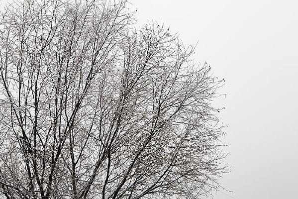 ��װ�ع���