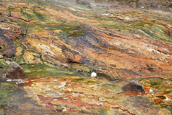 ����ɽ���ʹ�԰