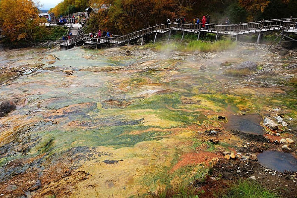 ����ɽ��