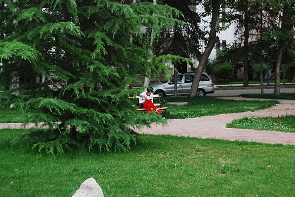 ��Ȼ��԰һ��