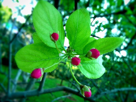 ���Ƕ��������