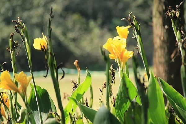 ���˽���Ӱͼ