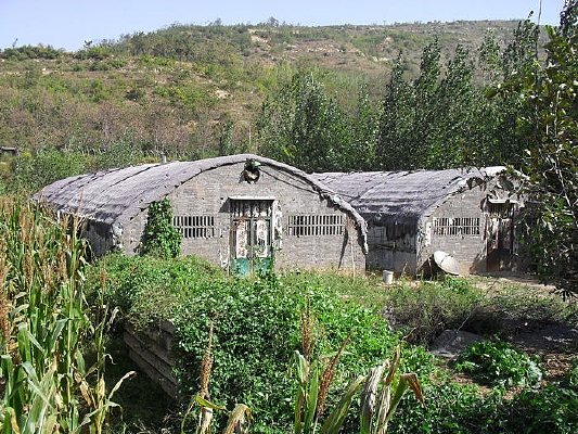 ɽ���µ�����������