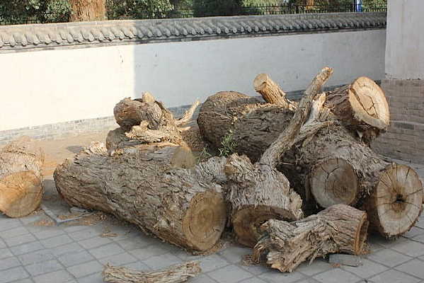 ���ɹŰ������˵ĺ�����