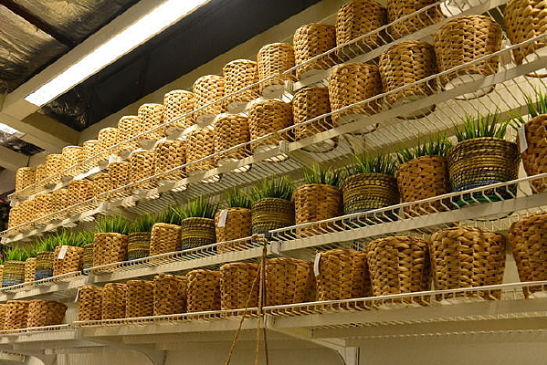 �˼ҼҾ���������չ��