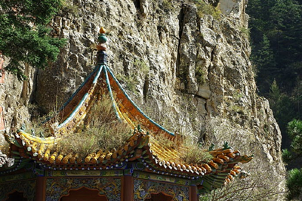 ����̨��ͤ��