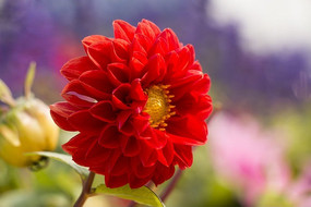 ������д