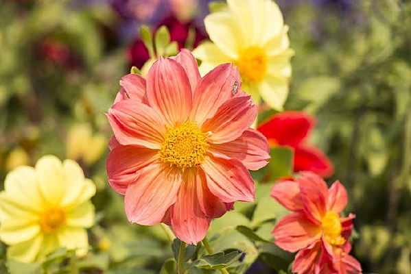 ������д