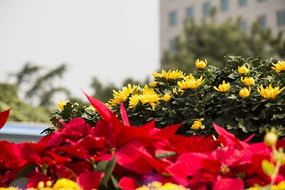 �ջ�����