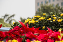 �ջ�����