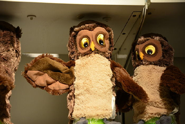 èͷӥ��ż���