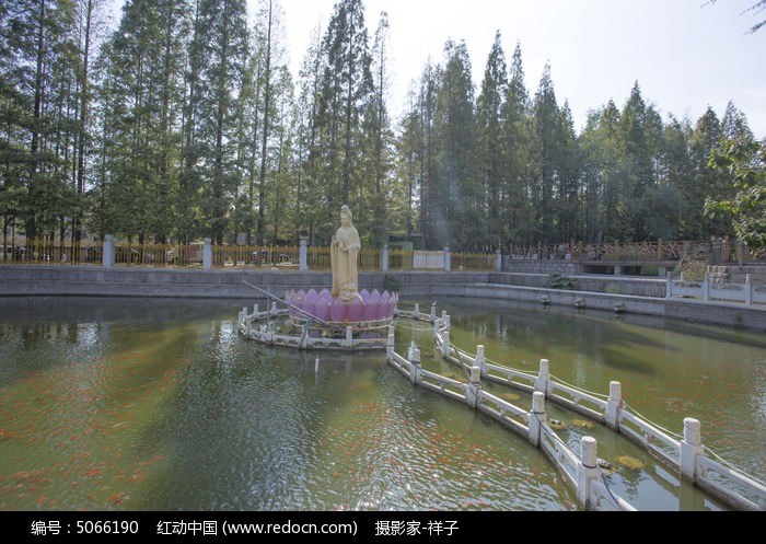 青岛湛山寺的放生池