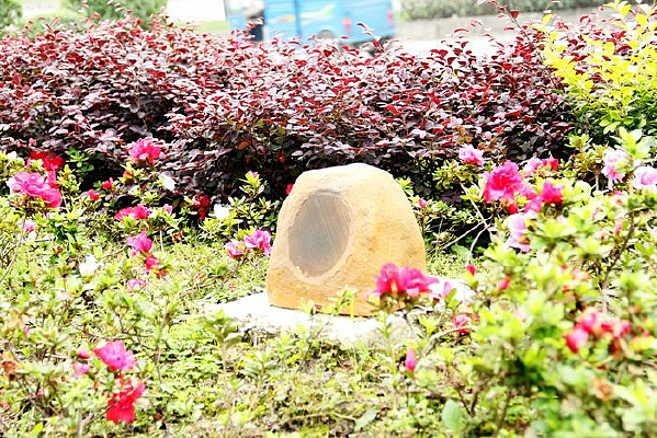 �̳���������