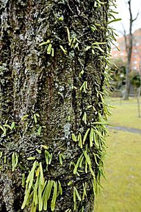 �������µ�����