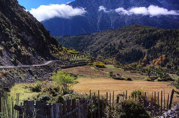 ��������÷�����԰