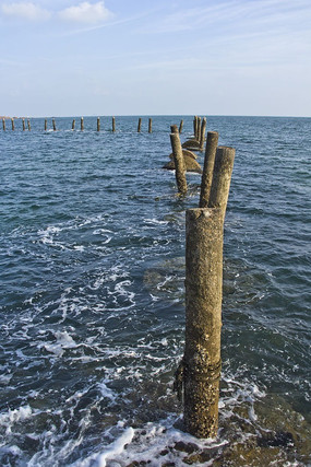 ����ͣ��