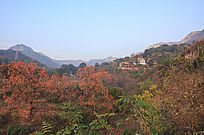 �ƻ�����