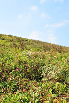 �����µĲ�ԭ