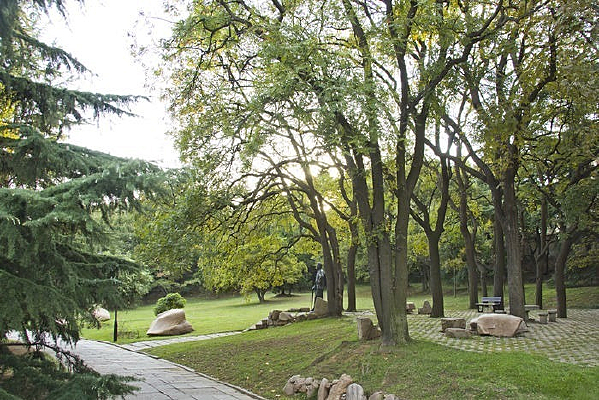 �ٻ�����