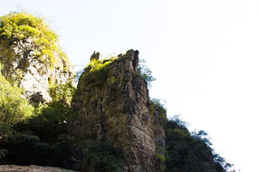 �����ͱ�