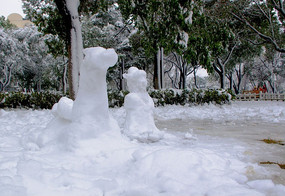 ��ѩ�ѳɵ�һ��һ��