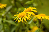 �ջ��ջ���