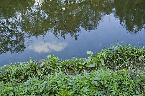 �ൺ�ĺ���