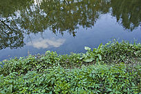 �ൺ�ĺ���