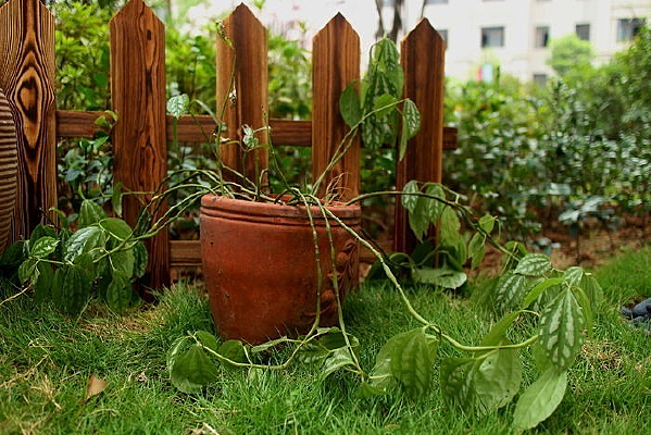 �ݵ��ϵ�����