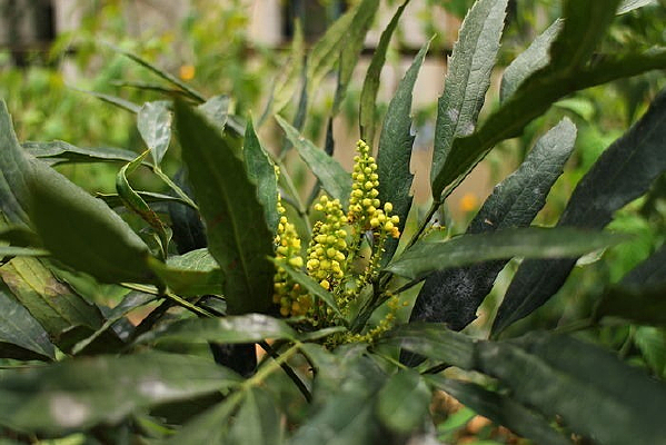 ���ٻ���Ӱ