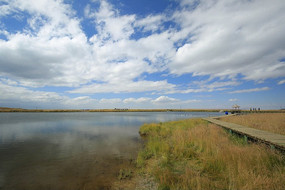 ���ֲ�ԭ֮����