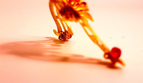 ����ĳ��