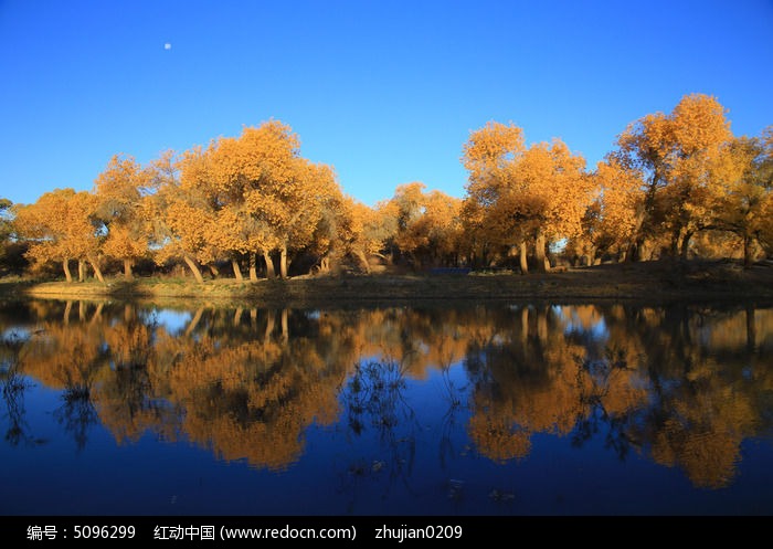 ��������ͼƬ