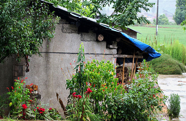 �������еĻ�