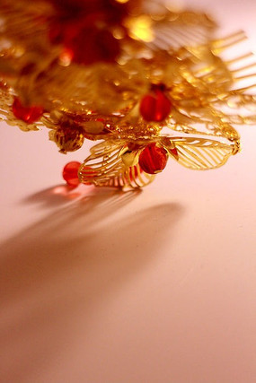 ������Ҷ