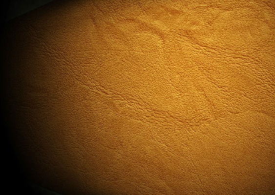 Ƥ�y����ǽֽ