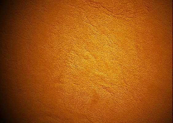 Ƥ�Ƽ�������