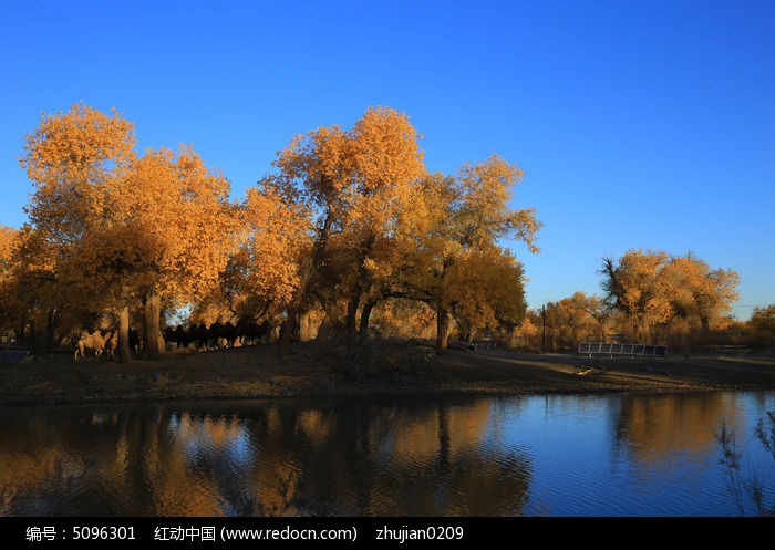 �＾������ͼƬ