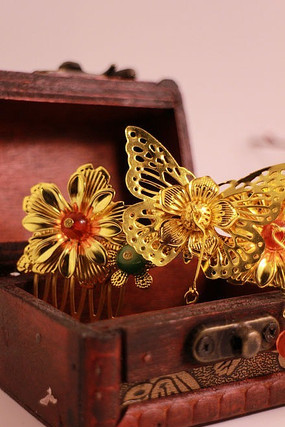 ��ɫ����