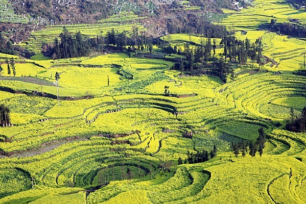 ��Դ�Ͳ˻���