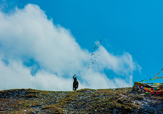 �صص�����