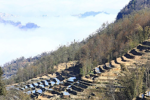 �������