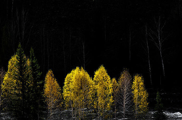 �����ĺӱ�