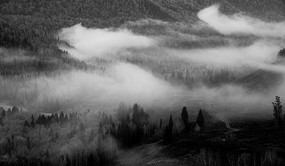 �ڰ�ɭ�ַ��